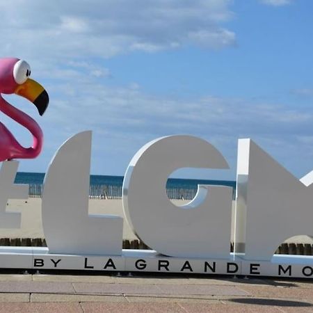 Superbe Studio Au Calme A 8Mn De La Plage La Grande Motte Bagian luar foto