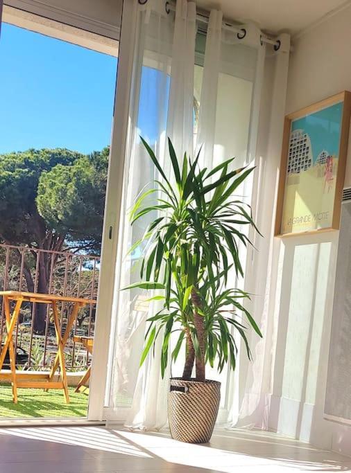 Superbe Studio Au Calme A 8Mn De La Plage La Grande Motte Bagian luar foto